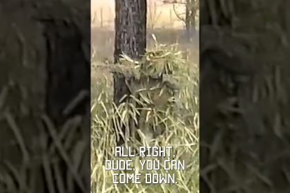 Greatest military camoflauge: sniper stalk training, 1994 #shorts #vhs
