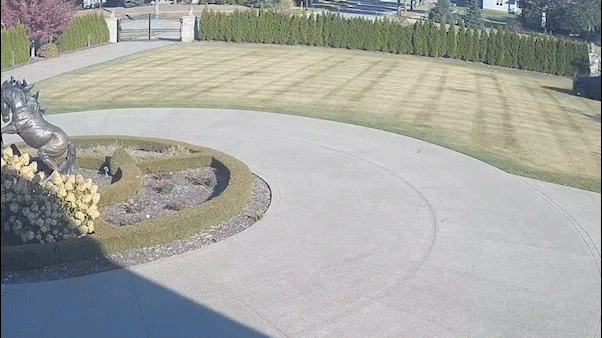 Video shows gunman ‘lying in wait’ to ambush businessman outside estate as police hunt shooter: prosecutor