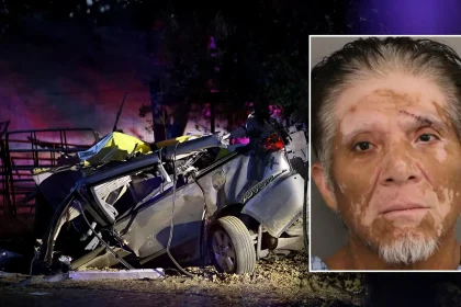 Previously deported blue state driver charged with murdering six people in crash: report