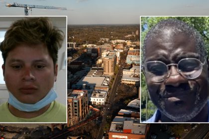 Previously deported illegal immigrant allegedly kills man in hit-and-run after returning to US: DHS