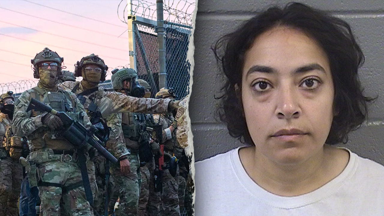 Far-left University of Chicago professor charged with violent felonies during anti-ICE riots in Broadview