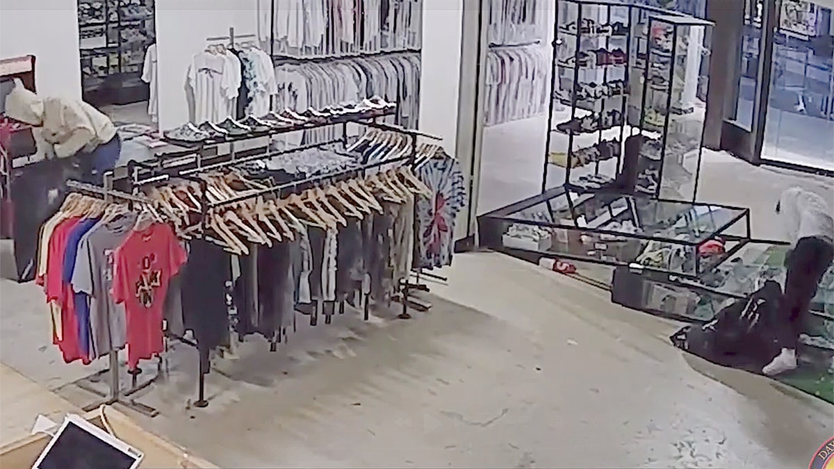 Florida mall ransacking suspects