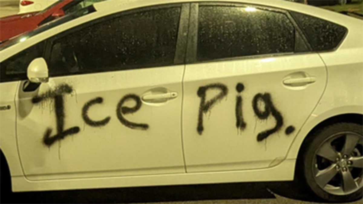 Prairieland Detention Center "ICE pig" graffiti