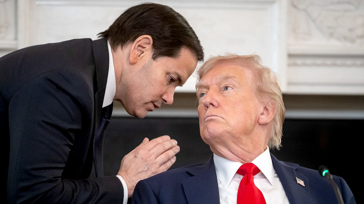 Marco Rubio speaks to Donald Trump