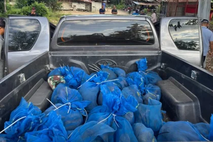 Two men caught with 81 monkeys stuffed in bags and meth in wildlife smuggling ring, authorities say