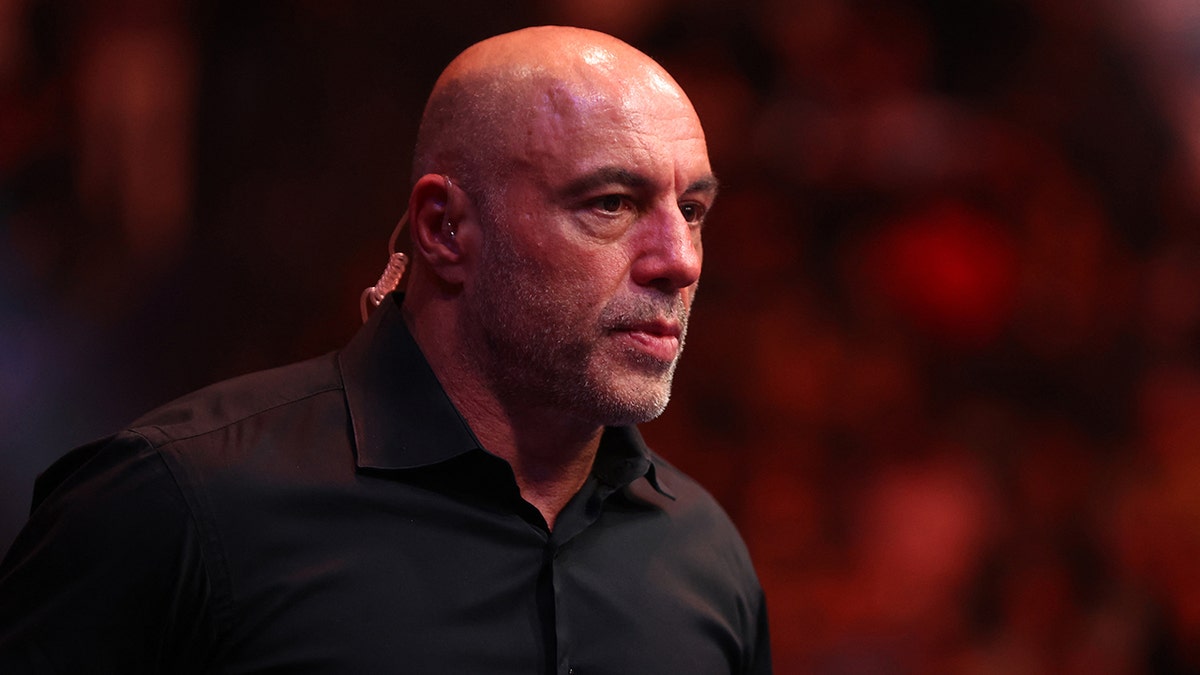 Podcaster Joe Rogan