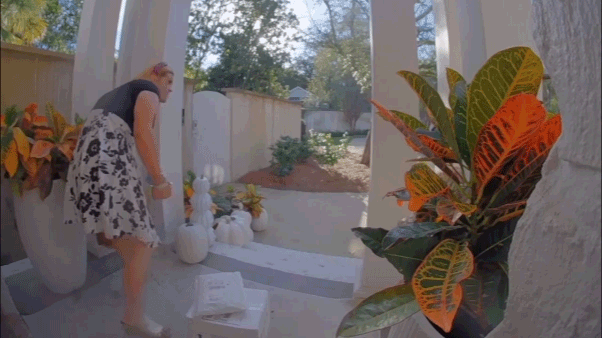 Alleged porch pirate in women’s clothing busted after surveillance video goes viral: ‘Particular look’