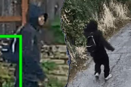 Seattle robber bites off 88-year-old woman’s finger during violent robbery, police say