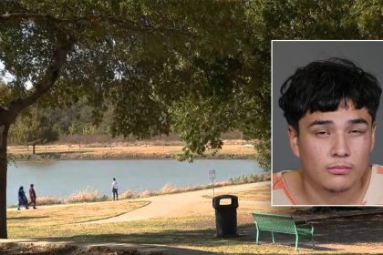 Illegal immigrant with rap sheet charged in hammer attack on woman jogging in park, released under Biden: DHS