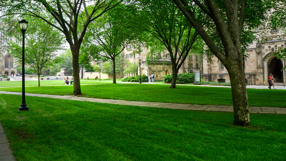 Students walk along paved paths that cut through a manicured green lawn at Yale University's campus in Connecticut.