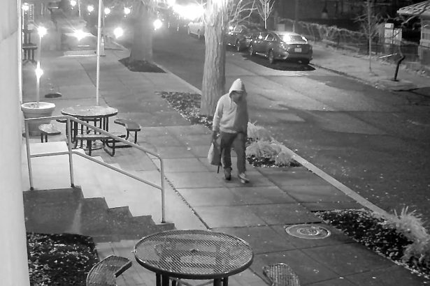 Who is Brian Cole Jr, the DC pipe bomb suspect?