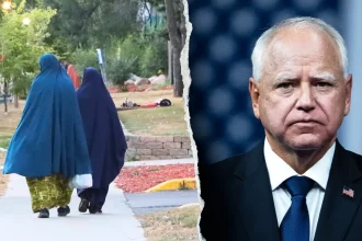 ‘Schemes stacked upon schemes’: B public benefits fraud fuels scrutiny of Minnesota’s Somali community