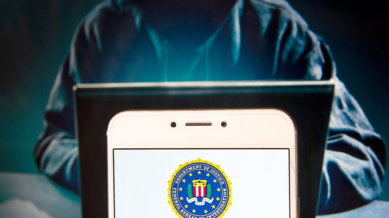 Ukrainian woman charged over Russian-backed cyberattacks; M reward offered for others