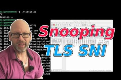 Using simple tools to see which websites users are connecting to