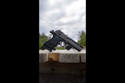 Would you want one for the gun safe? (Desert Eagle .357)