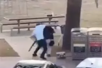 VIDEO: Hero Bystander Disarms Bondi Beach Gunman Amid Terror Attack