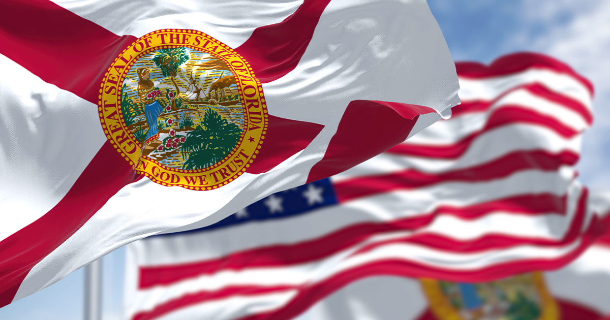 Florida Bill HB 133 Aims to Lower Minimum Age for Firearm Purchases from 21 to 18