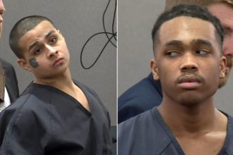 Las Vegas men who pleaded guilty to mowing down retired police chief learn sentence