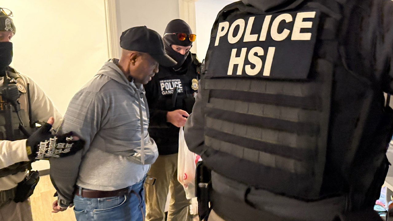 ICE confirms arrest of Somali illegal immigrant sex offender in Minneapolis