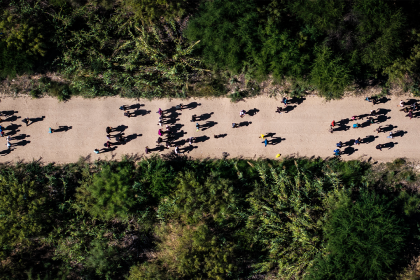 US drug overdose deaths plummet 20% as Trump administration cracks down on southern border