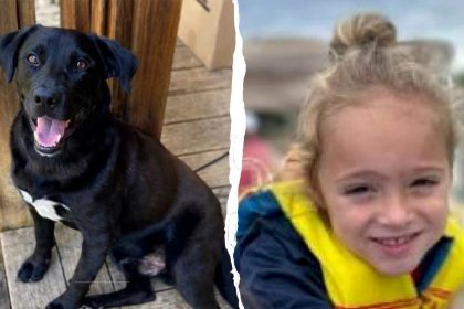 Preliminary autopsy reveals possible cause of death for missing 4-year-old Alabama boy Johnathan Boley