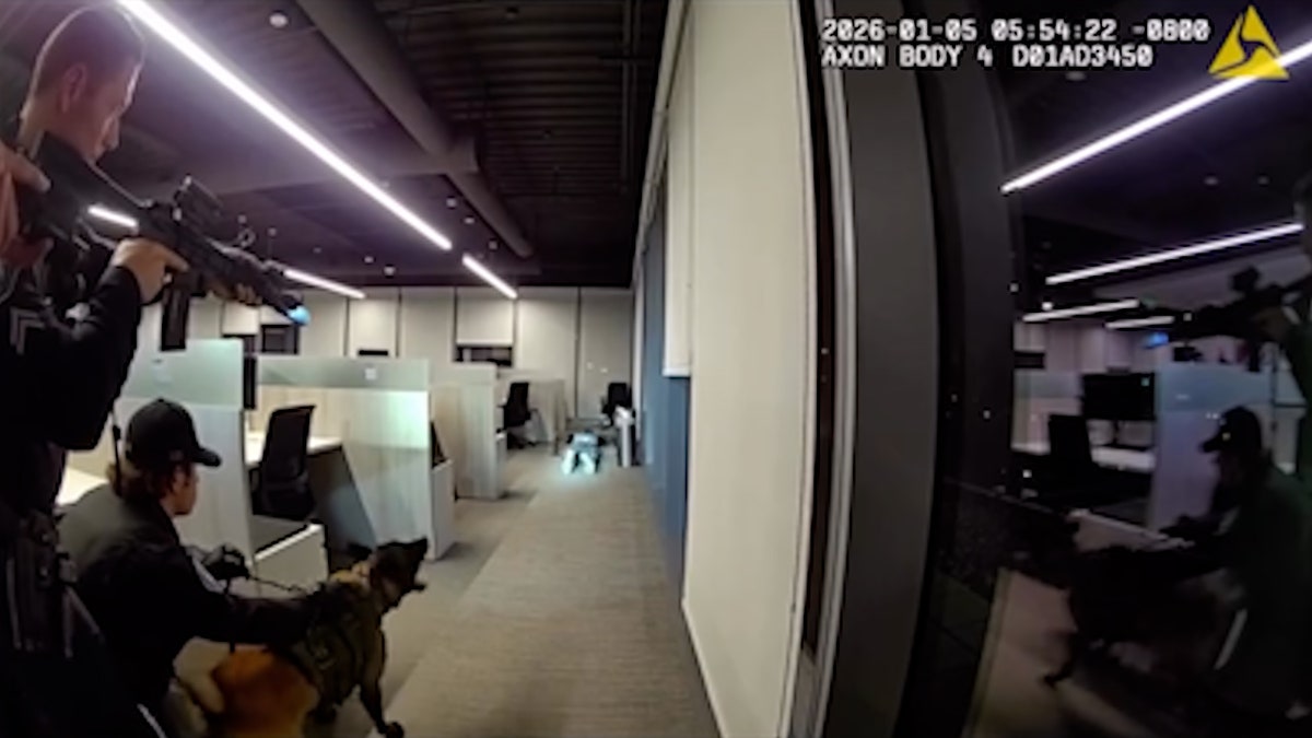 Armed police officers search office space with K9