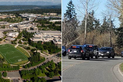 Knife-wielding attacker vanishes after random daytime stabbing rattles affluent suburb