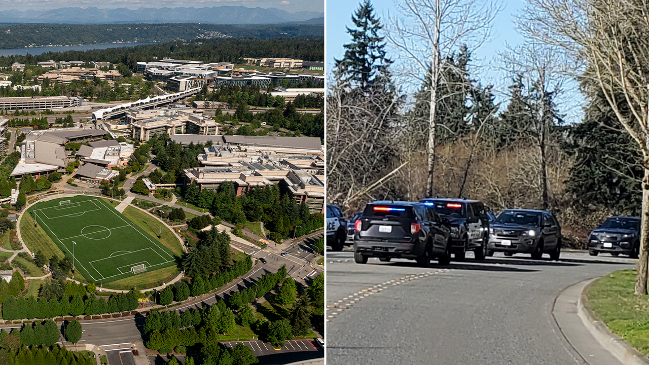 Knife-wielding attacker vanishes after random daytime stabbing rattles affluent suburb