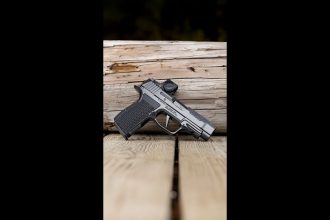 Which would you choose? (S&W Bodyguard 2 PC or SIG P365 LUXE)