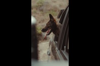 What would you do in this situation?