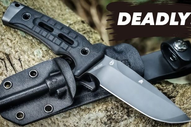 This Survival Knife Is Absolutely SAVAGE! HX Outdoors ROCK APEX Review