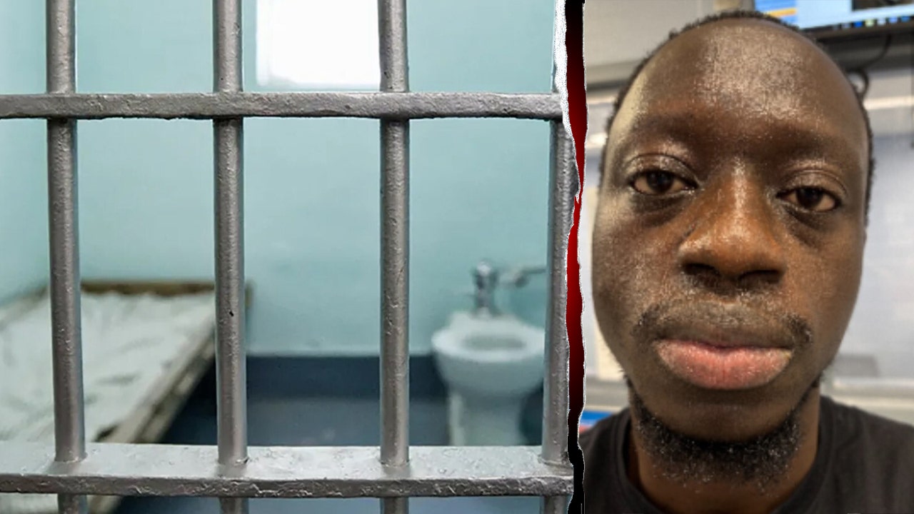 ICE arrests illegal immigrant training as Pennsylvania corrections officer suspected of rape