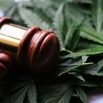 Cannabis and the Second Amendment? Gun and Weed Groups Join Forces in Landmark Case
