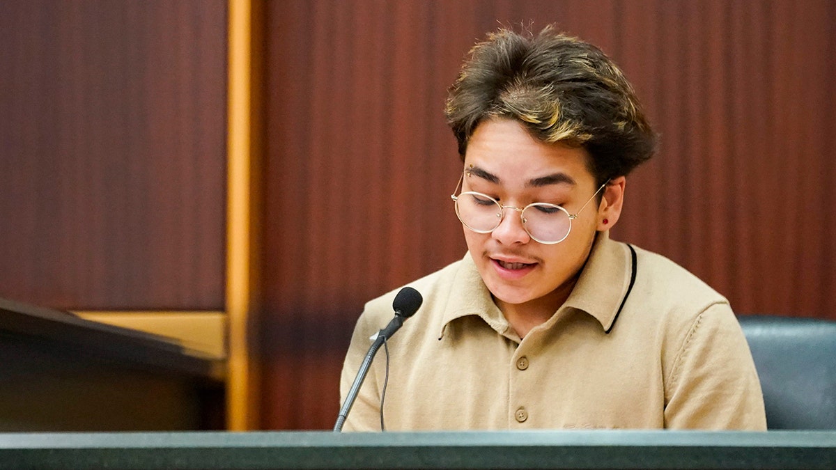 Diane Ruiz's son testifying in court.