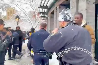 NYPD officers hit with snowballs while responding to disorderly group: officials