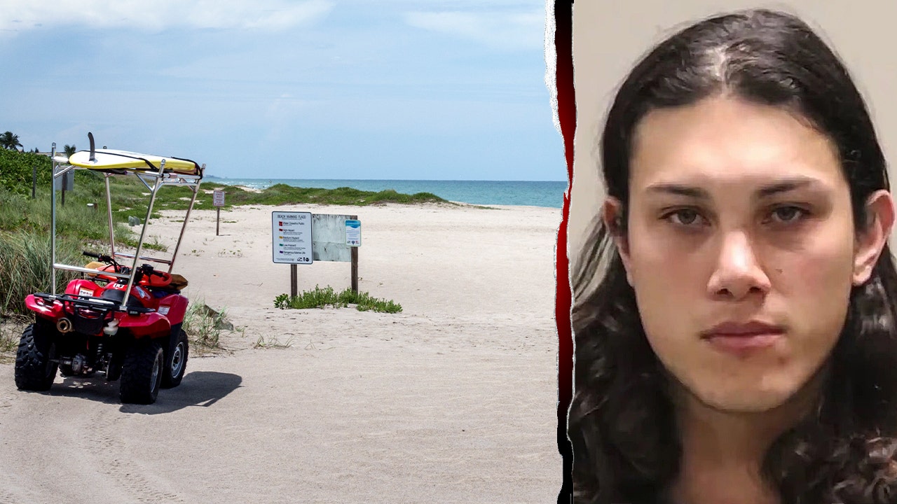 Illegal immigrant allegedly ambushed woman on Florida beach in random attempted drowning attack: police
