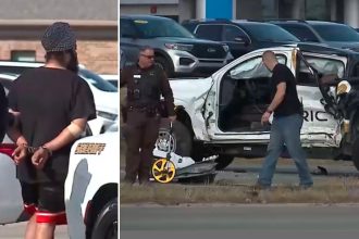 Illegal immigrant truck driver accused of killing Indiana man after running red light