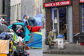 San Francisco uncovers nine secret drug and gambling dens disguised as convenience stores