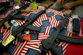 Gun rights expert says Minnesota Dems tried to block her testimony on firearm bills to ‘avoid’ policy debate