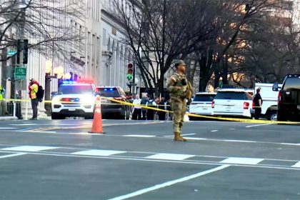 Secret Service detains, questions individual who drove vehicle into barricade near White House