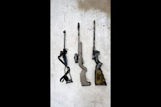 I Tested 3 Survival .22 Rifles