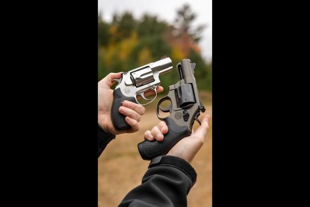 We told AI to make a video from a photo … notice anything off? 😂