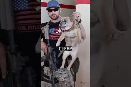 How Navy Seals clear a room #military #howto #dog #funny #specialforces