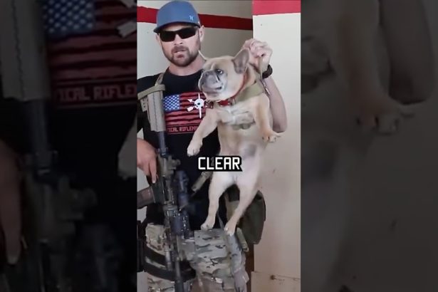 How Navy Seals clear a room #military #howto #dog #funny #specialforces