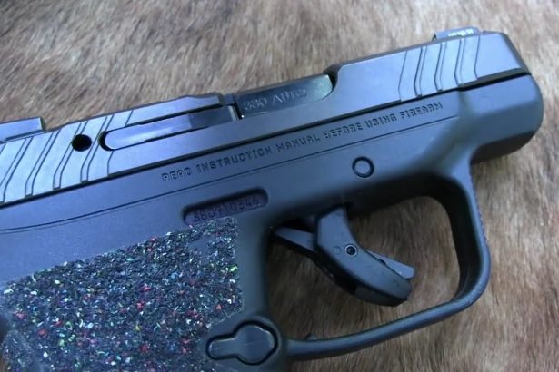 Is This Pistol the Ultimate Choice?