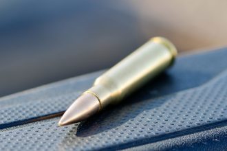 .308 Winchester Ammo Review — Brands and Performance