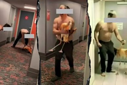 Tourist’s bird-brained Vegas stunt with flamingo lands him behind bars on felony charges