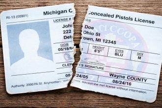 Michigan Could Become 30th Constitutional Carry State Under New House Bills