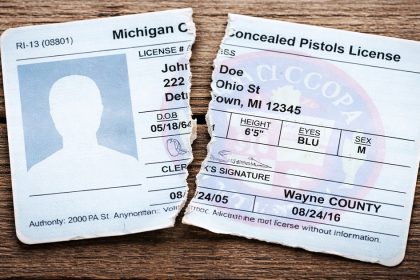 Michigan Could Become 30th Constitutional Carry State Under New House Bills