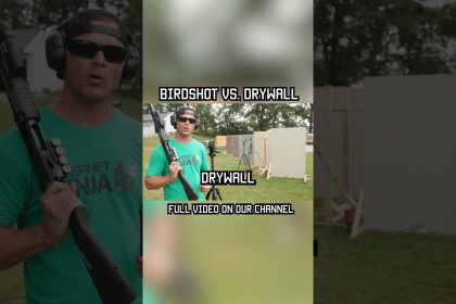 Birdshot vs. Drywall #shotgun #military #lawenforcement